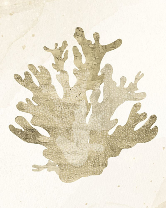 Picture of CORAL HUE 3