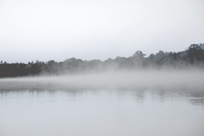 Picture of LAKE MIST