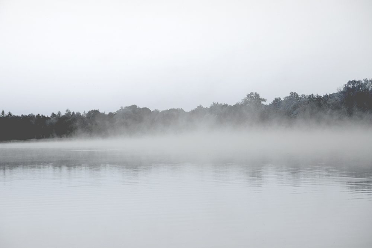 Picture of LAKE MIST