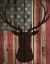 Picture of AMERICAN HUNT
