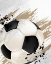 Picture of SPORT LIFE 1