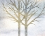 Picture of BLUE DAYS 2