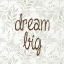 Picture of DREAM BIG LEAVES