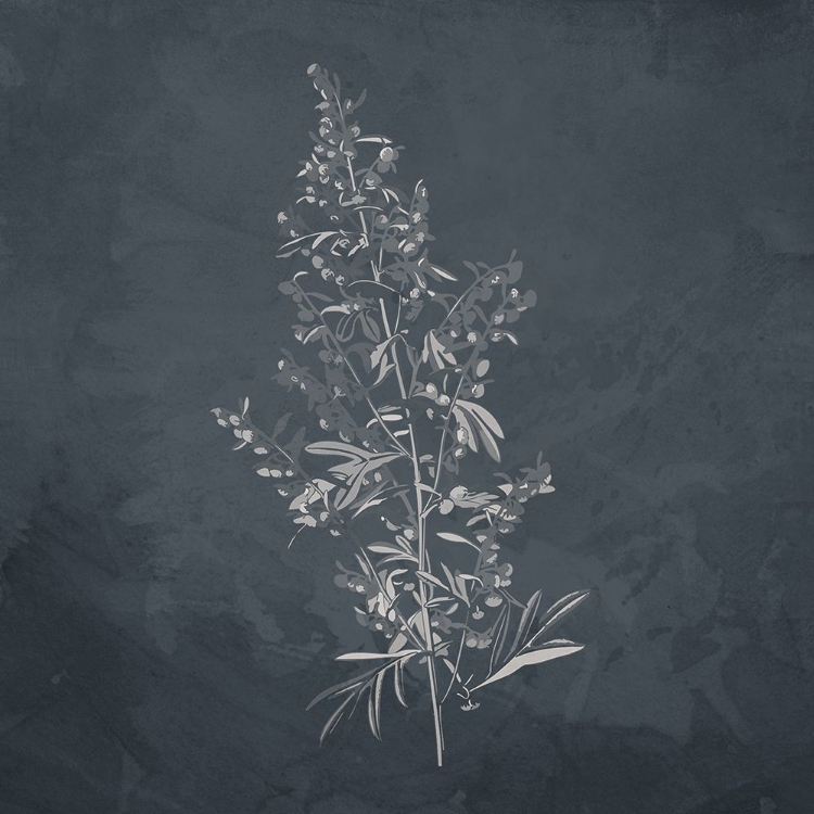 Picture of PLANT 2
