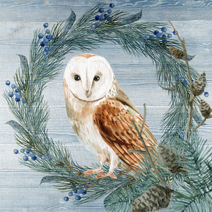 Picture of WINTER OWL BLUES 1