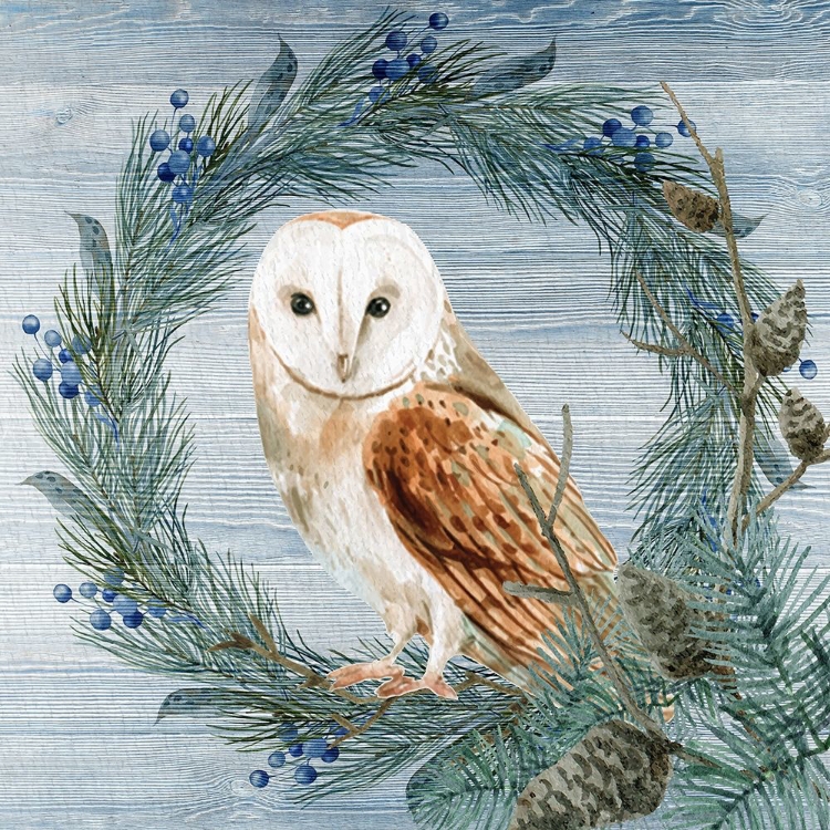 Picture of WINTER OWL BLUES 1