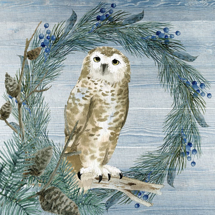 Picture of WINTER OWL BLUES 3