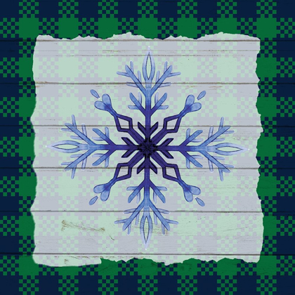 Picture of SNOWFLAKE WINTER 1