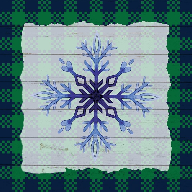 Picture of SNOWFLAKE WINTER 1