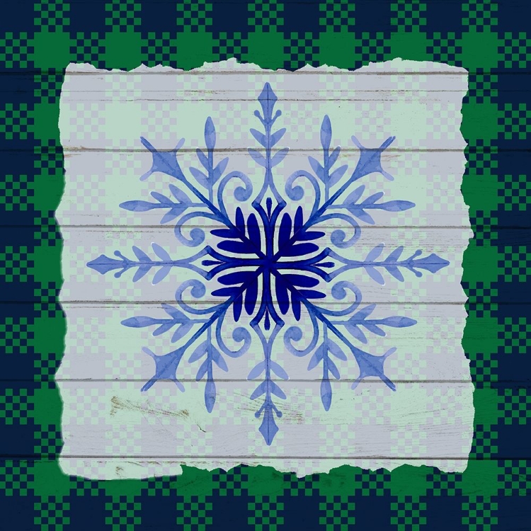 Picture of SNOWFLAKE WINTER 3