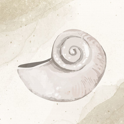 Picture of CALMING SHELL 1