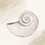 Picture of CALMING SHELL 1