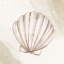 Picture of CALMING SHELL 2