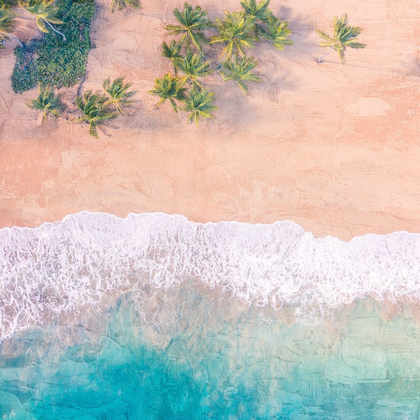Picture of PINK SANDS