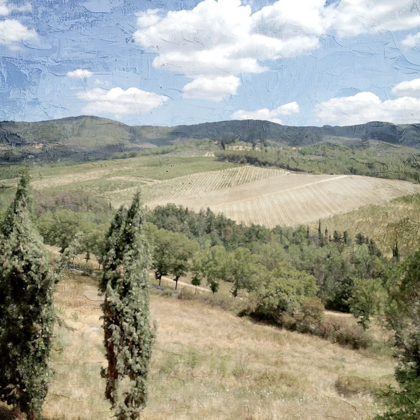 Picture of TUSCAN FIELD