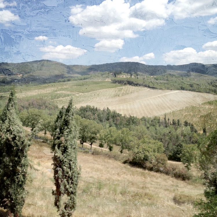Picture of TUSCAN FIELD