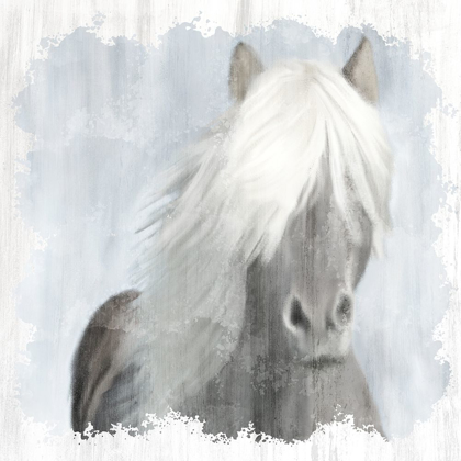 Picture of MANE