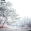 Picture of SILENCE