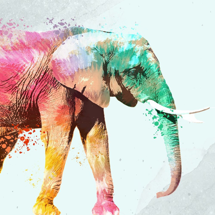 Picture of TIE DIE ELEPHANT 1