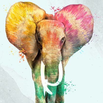 Picture of TIE DIE ELEPHANT 2