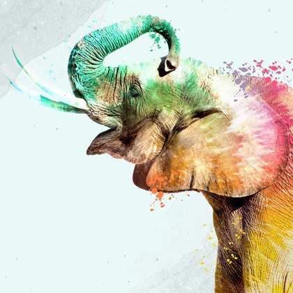 Picture of TIE DIE ELEPHANT 3