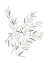 Picture of NEUTRAL LEAVES