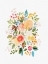 Picture of WATERCOLOR FLORALS