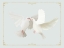 Picture of CHRISTMAS DOVES
