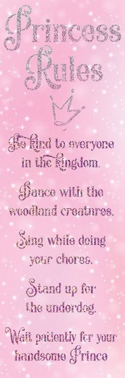 Picture of PRINCESS RULES 3