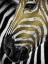 Picture of VIBRANT ZEBRA