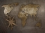 Picture of WORLD COMPASS