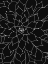 Picture of BLACK WHITE SUCCULENTS SET OF 2