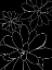 Picture of BLACK WHITE SUCCULENTS SET OF 2