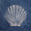 Picture of SEA LIFE BLUES 3