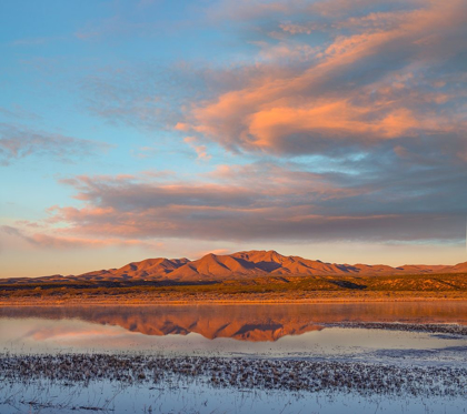 Picture of CRANE POOL AT BOSQUE DEL APACHE NWR -NM