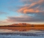 Picture of CRANE POOL AT BOSQUE DEL APACHE NWR -NM