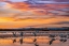 Picture of SANDHILL CRANES-BOSQUE DEL APACHE NWR NEW MEXICO