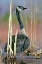 Picture of CANADA GOOSE I