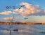 Picture of SNOW GEESE-BOSQUE DEL APACHE NATIONAL WILDLIFE REFUGE-NEW MEXICO II