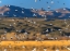 Picture of SNOW GEESE AND SANDHILL CRANES-BOSQUE DEL APACHE NATIONAL WILDLIFE REFUGE-NEW MEXICO