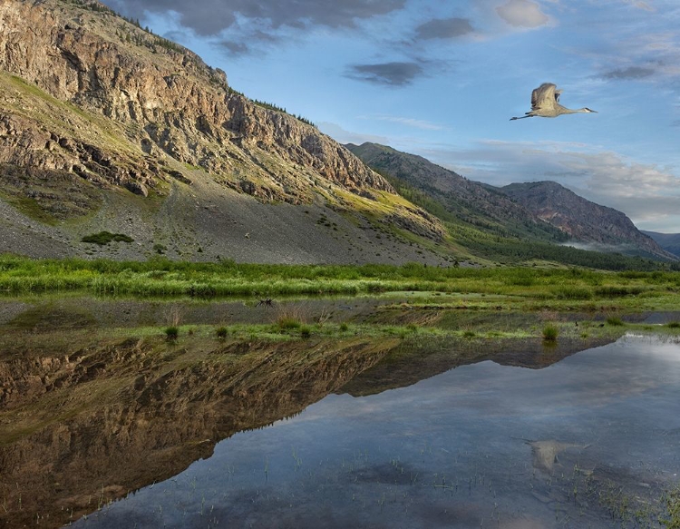 Picture of DOME MOUNTAIN AND ANIMAS RIVER NEAR SILVERTON-COLORADO