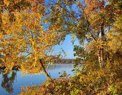 Picture of LAKE SEQUOYAH AUTUMN-ARKANSAS