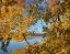 Picture of LAKE SEQUOYAH AUTUMN-ARKANSAS