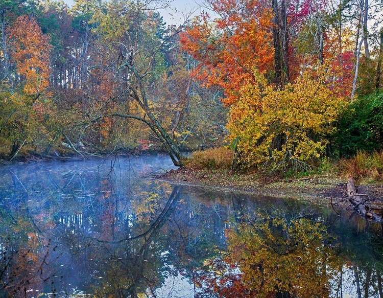 Picture of PETIT JEAN RIVER-PETIT JEAN STATE PARK-ARKANSAS.