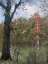 Picture of WHITE RIVER-WHITE RIVER NATIONAL WILDLIFE REFUGE-ARKANSAS