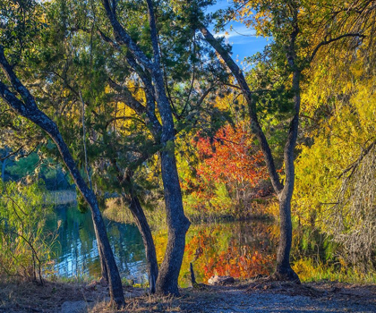 Picture of INKS LAKE-INKS LAKE STATE PARK-TEXAS