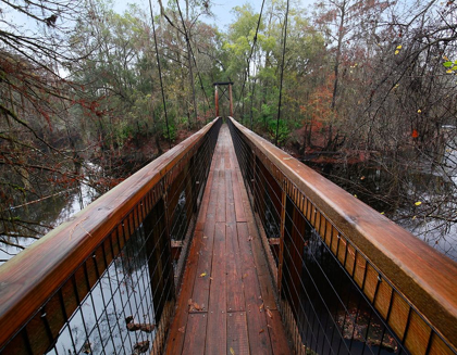 Picture of SANTA FE RIVER-OLENO STATE PARK-FLORIDA