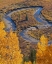 Picture of EAST RIVER NEAR GOTHIC-COLORADO
