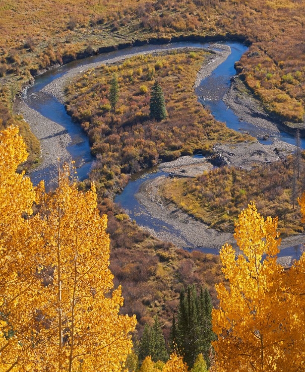 Picture of EAST RIVER NEAR GOTHIC-COLORADO