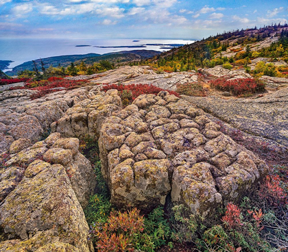 Picture of CADILLAC MOUNTAIN-ACADIA NATIONAL PARK-MAINE
